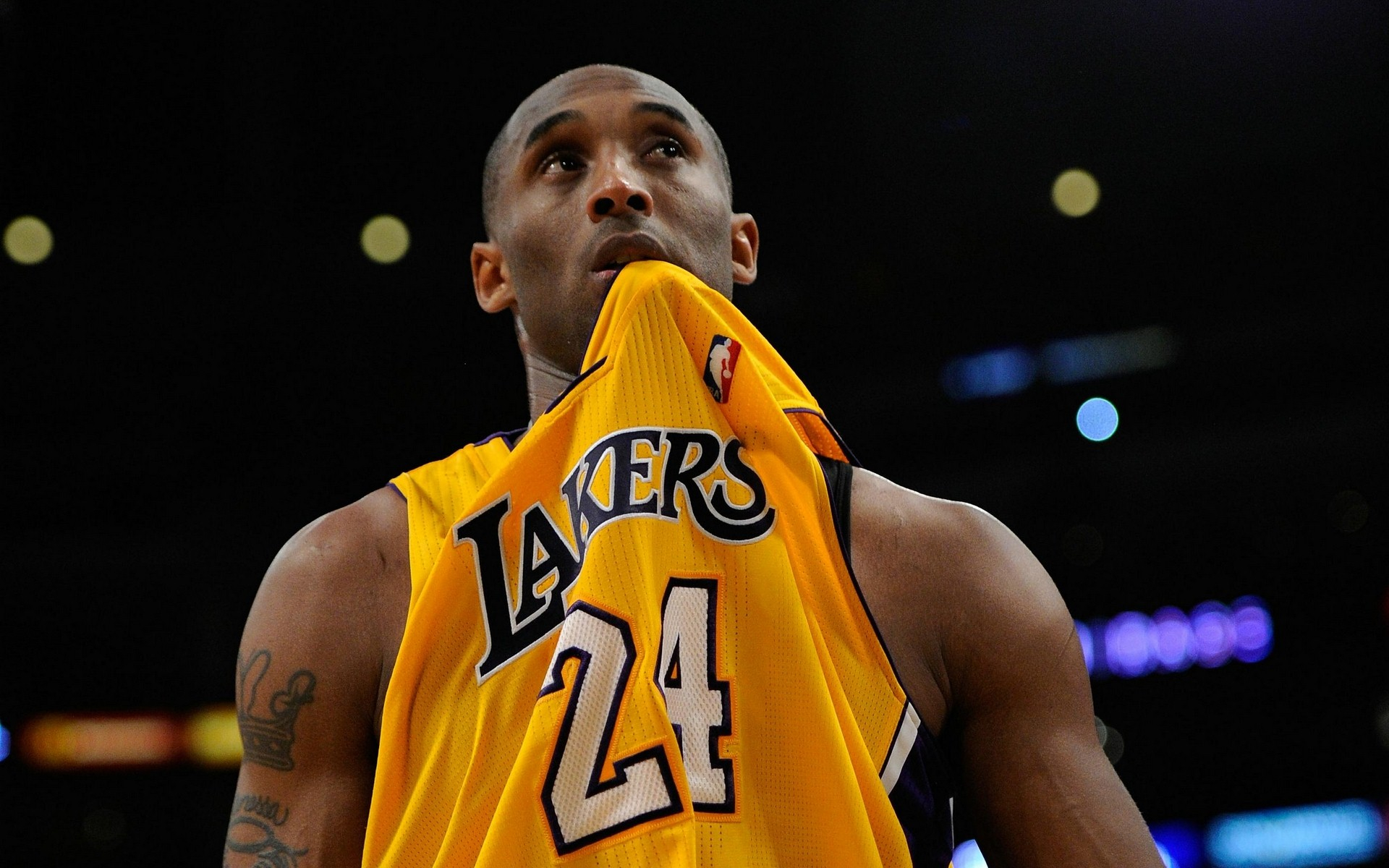 自动挡烟垂帘（垂壁）